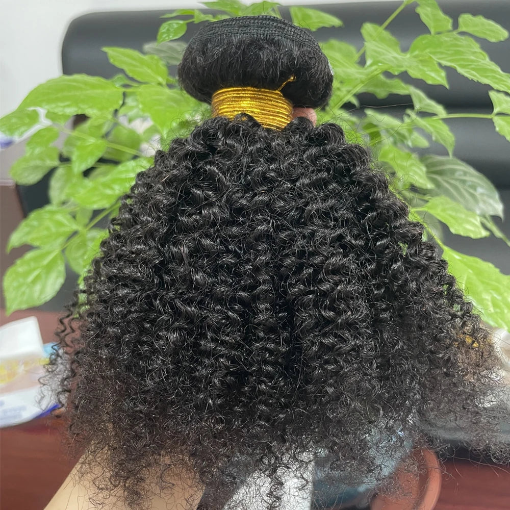 Extensions Afro Kinky Curly